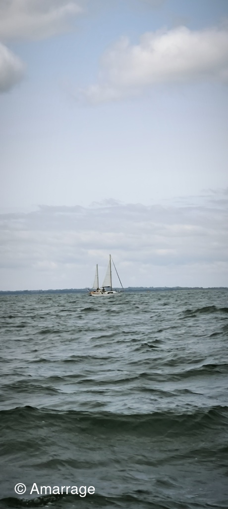 Navigation-festival-du-son-dans-les-voiles_109