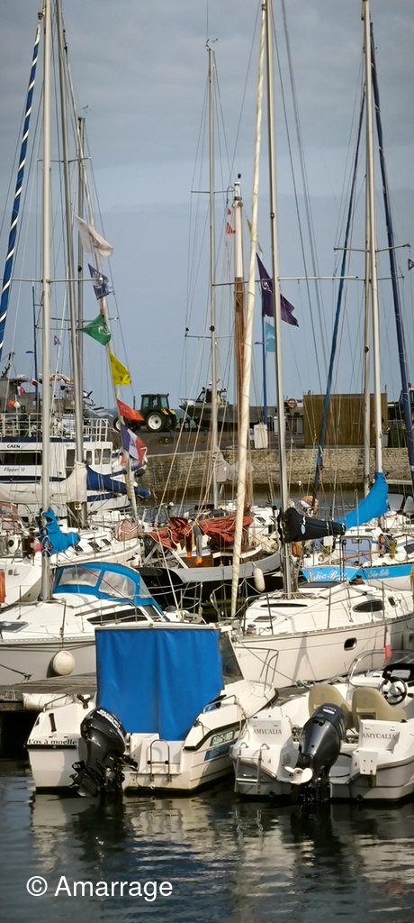 Navigation-festival-du-son-dans-les-voiles_113