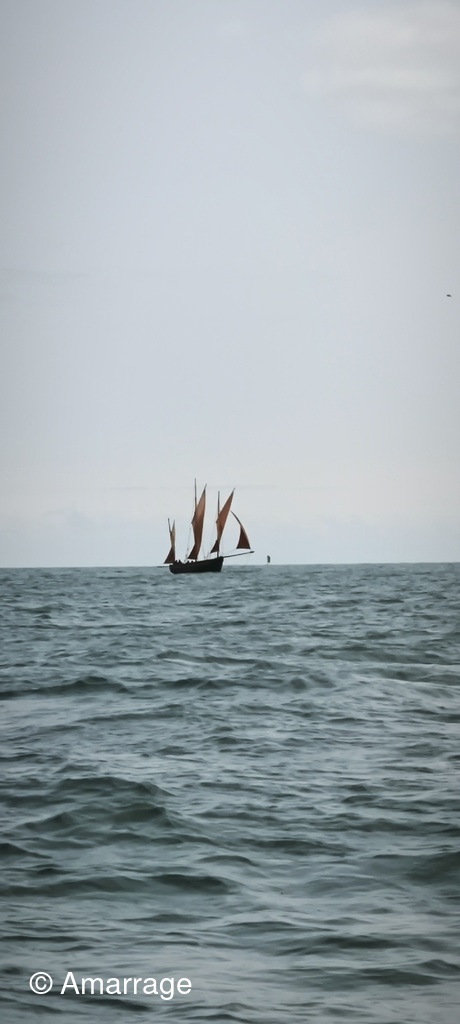 Navigation-festival-du-son-dans-les-voiles_122