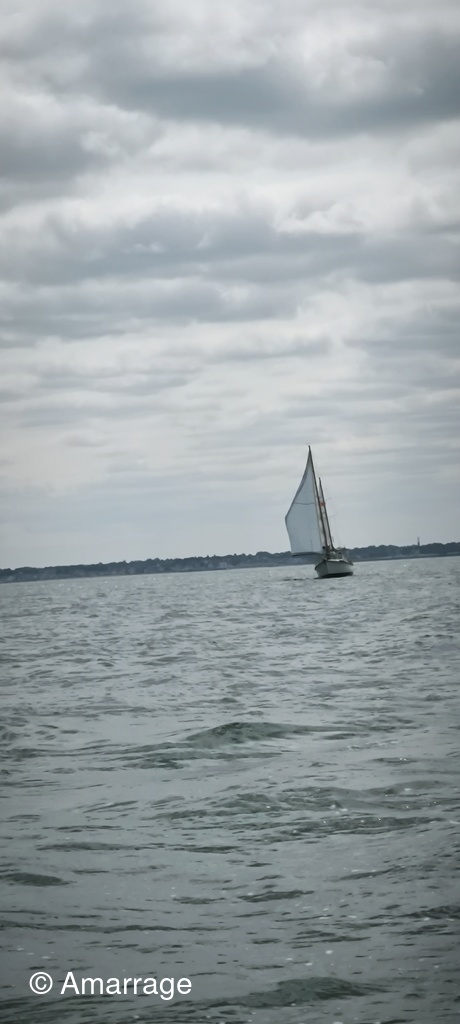 Navigation-festival-du-son-dans-les-voiles_124