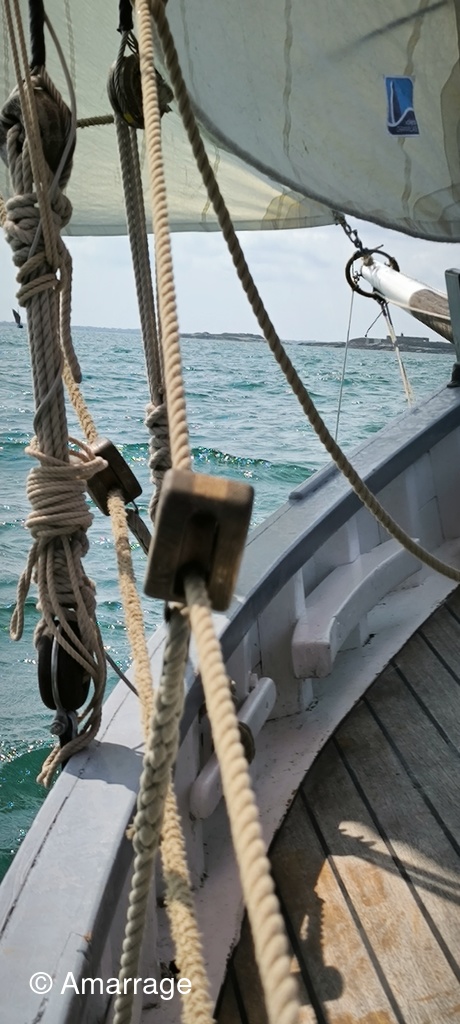 Navigation-festival-du-son-dans-les-voiles_126